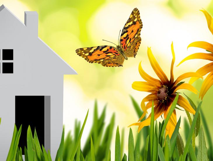 Huisje in het gras met bloemetjes en een vlinder