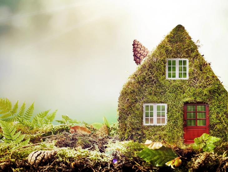 Met mos begroeid miniatuurhuisje in de natuur