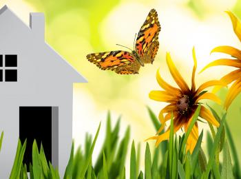 Huisje in het gras met bloemetjes en een vlinder