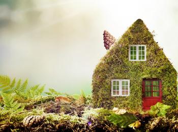 Met mos begroeid miniatuurhuisje in de natuur