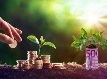 Investeren in duurzaamheid